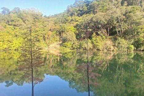Reflections