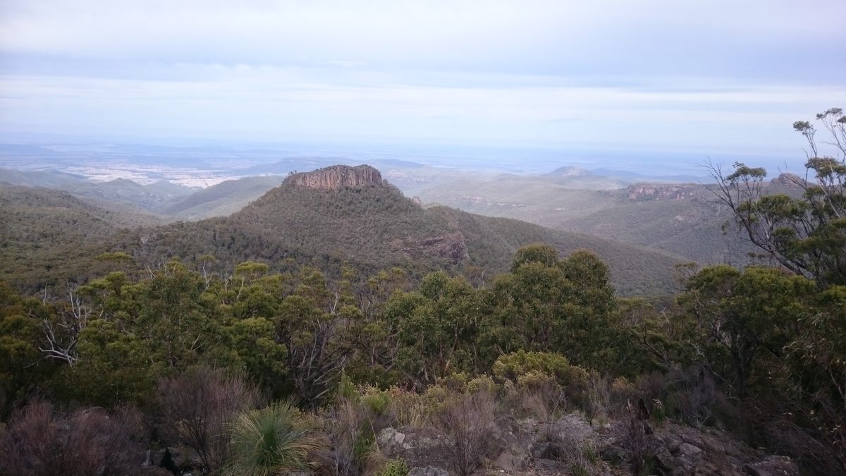 Mount Kaputar National Park is craggy, lush, and home to many mollusks.