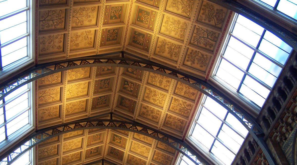 Hintze Hall in London's Natural History Museum