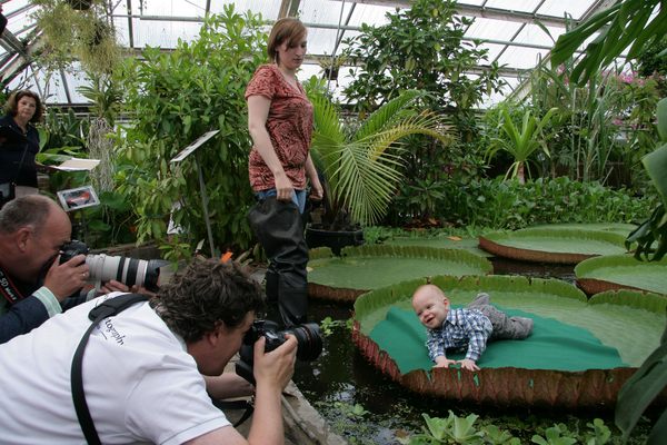 A baby having a photoshoot.