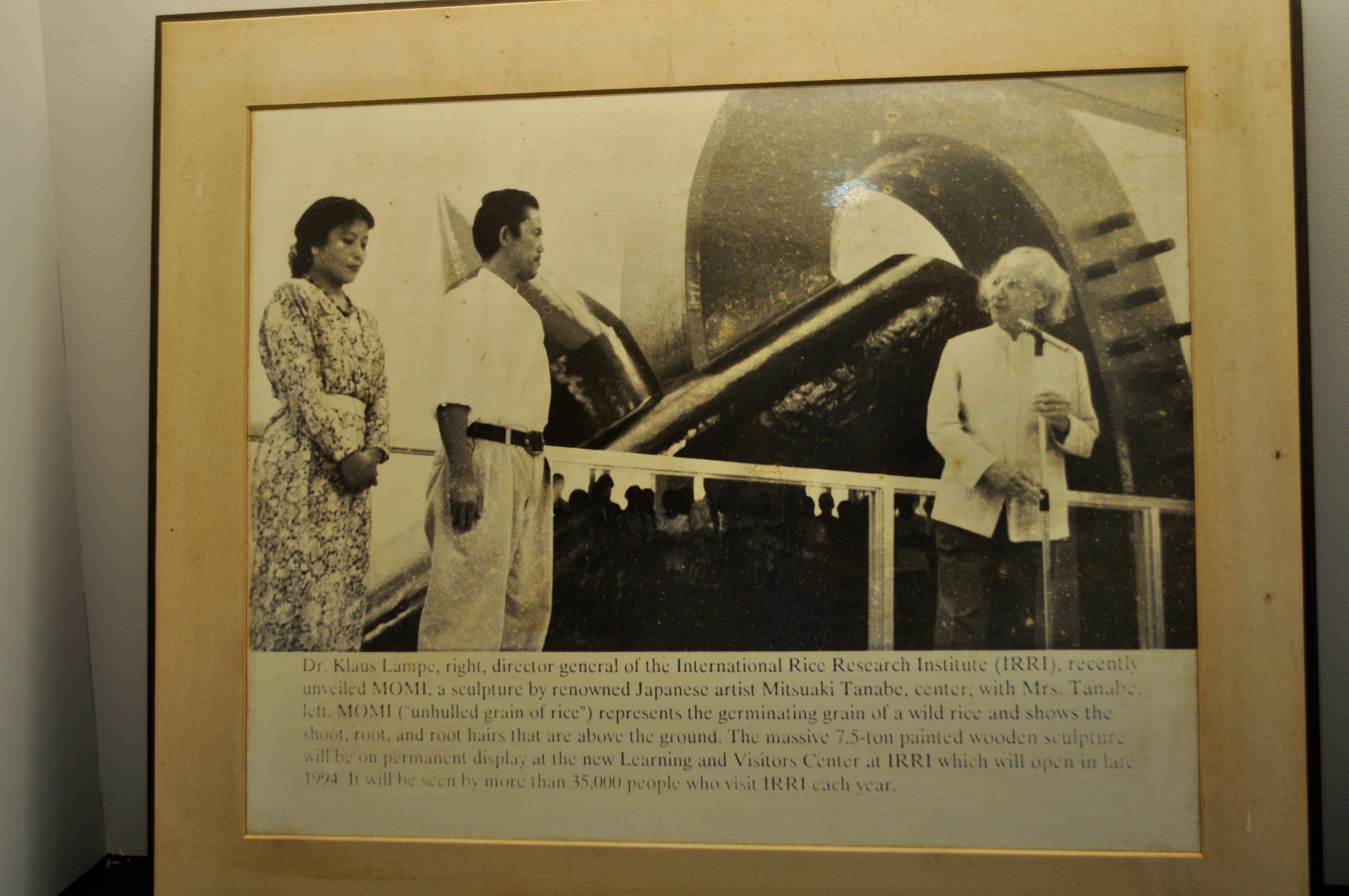 A photograph in the Hiyoshi no Mori Museum depicts Misayo and Mitsuaki Tanabe presenting a 7.5-ton "Momi" sculpture to the International Rice Research Institute in the Philippines.