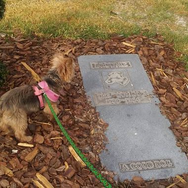 Brownie's Grave. A good dog.