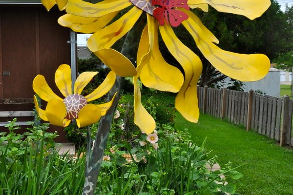 wow flower in lucas kansas