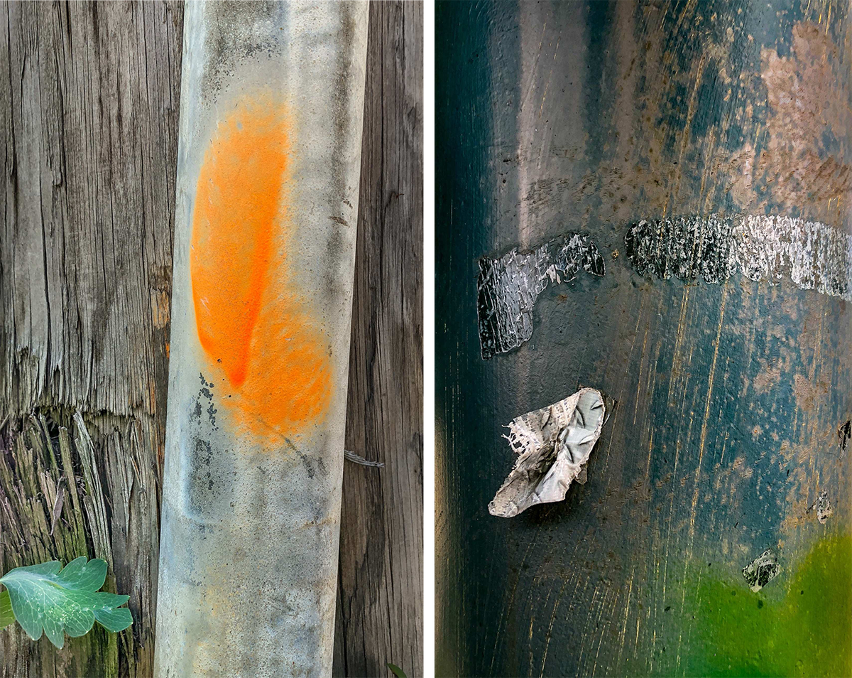 Cambridge, MA 2019 (left); Cambridge, MA 2019 (right).