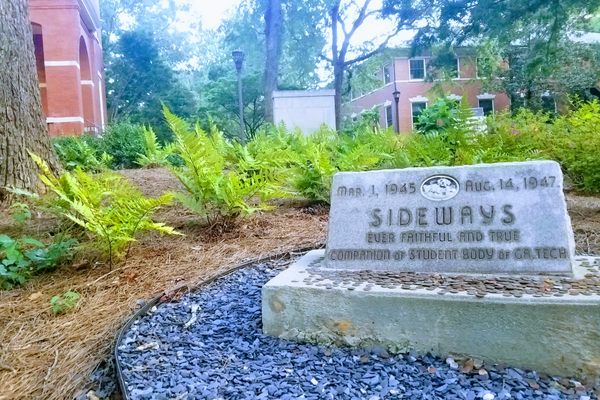 Sideways’ grave at Georgia Tech. 