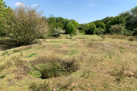 Springfield Lyons Bronze Age Enclosure