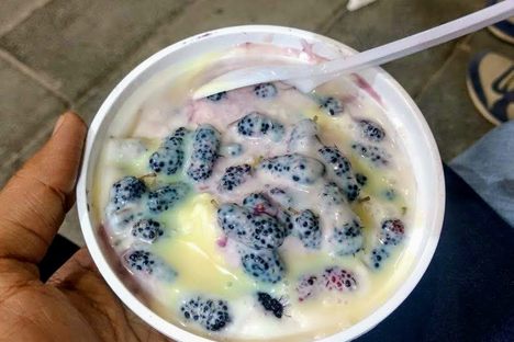 Mulberry Cream Bowl