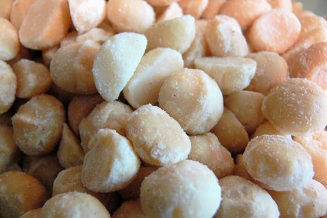 Behold the macadamia: delicious, fatty, and frequently cloned!