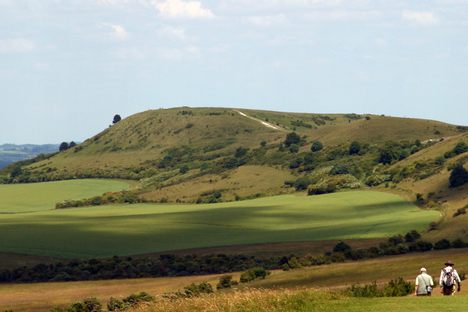 Ivinghoe Beacon seen looking north from The Ridgeway. 