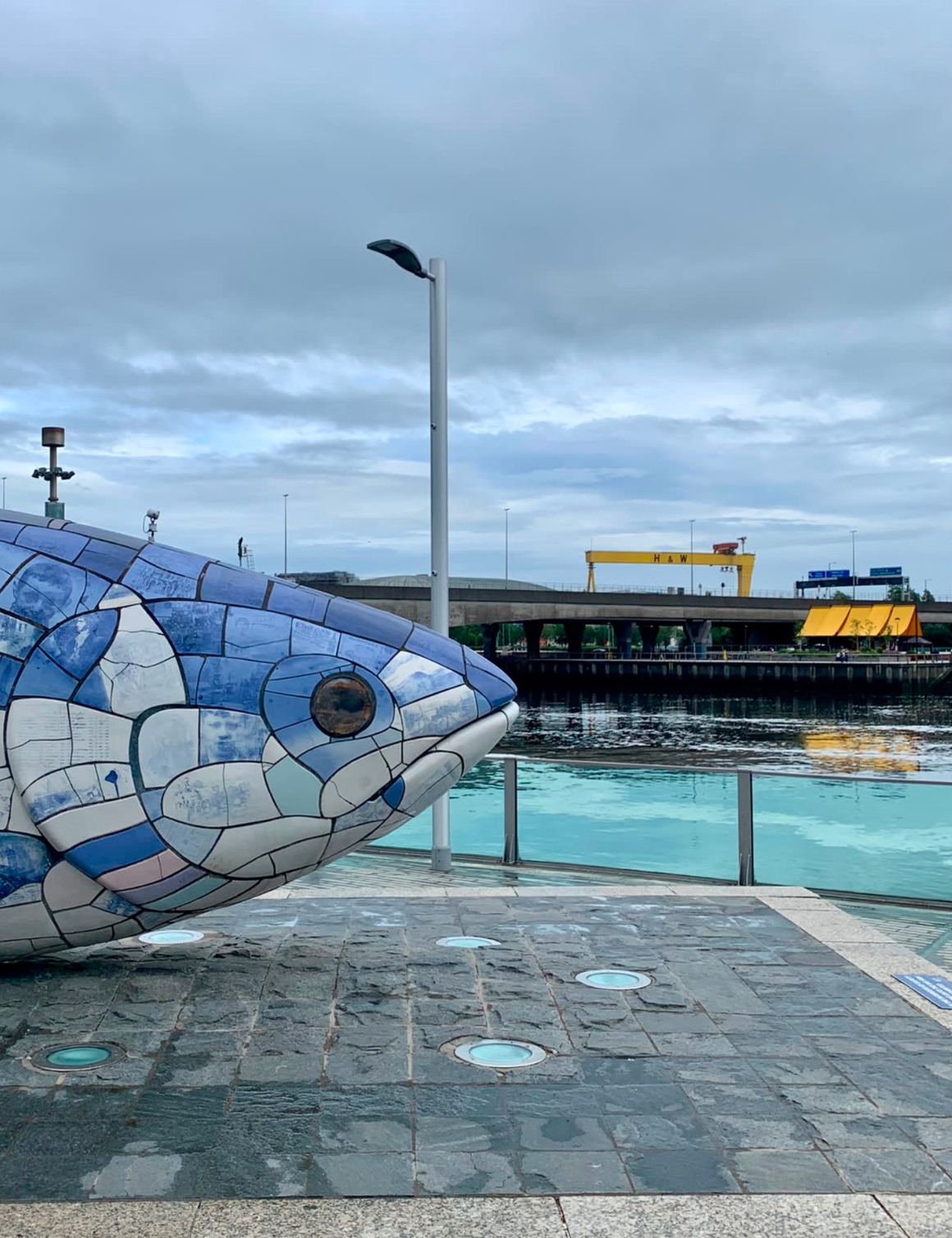The Salmon of Knowledge