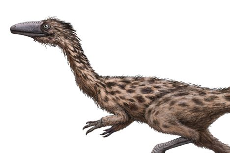 This creature, Podokesaurus holyokensis, is primed to be Massachusetts's future official dinosaur.