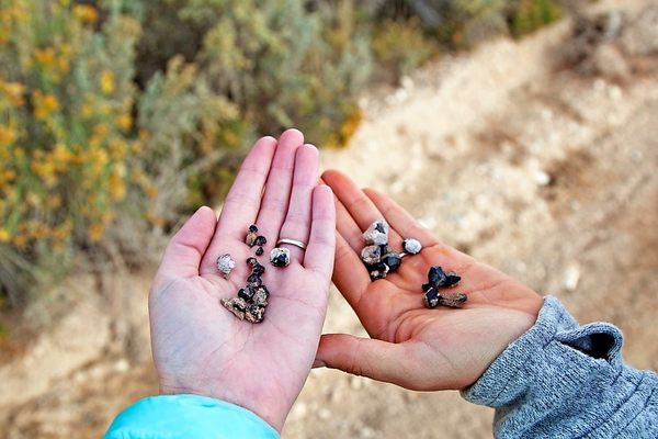 Some garnets collected at the Garnet Hill Rockhound Area.