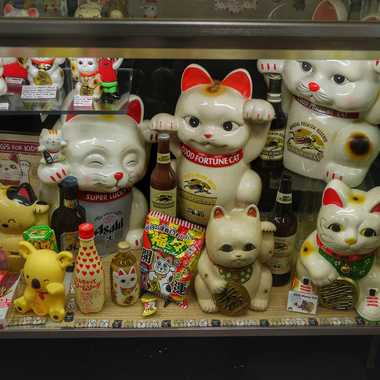 A selection of lucky cats at the Lucky Cat Museum.
