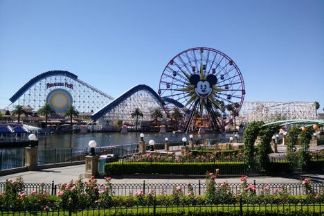 The Friendly Cult of Disney Tourists