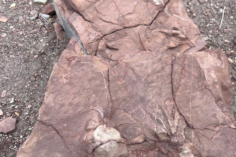  Prehistoric Trackways National Monument