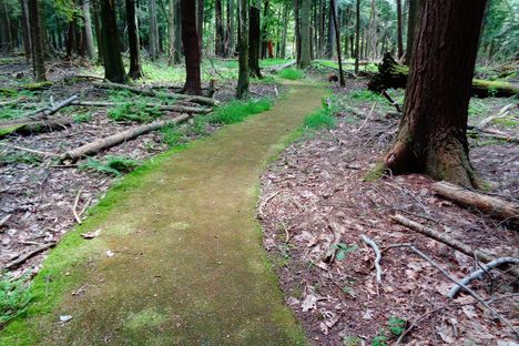 The Emerald Path.