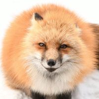 Profile image for Charles WV