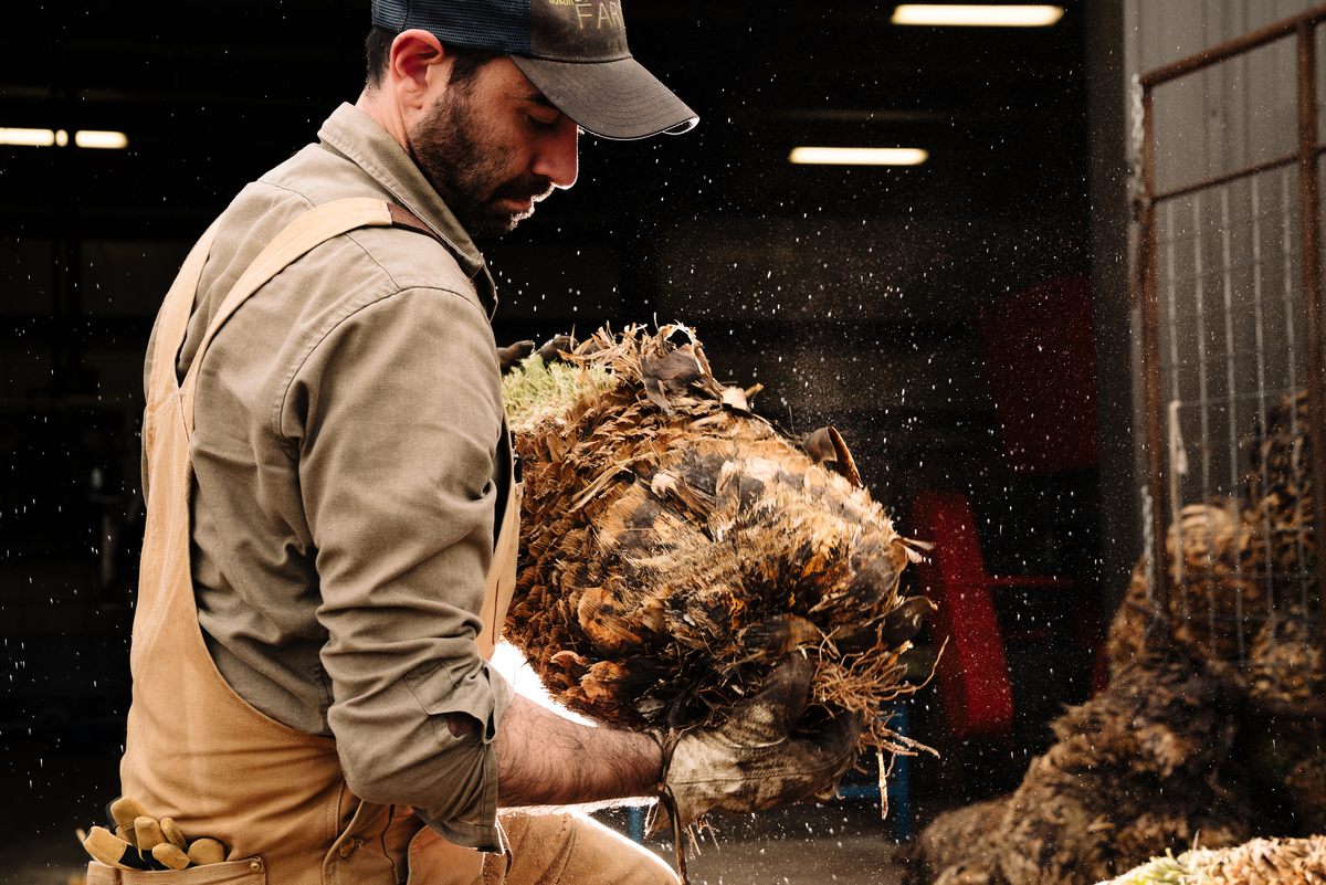 The trio behind Desert Door are telling a side of sotol's story they feel has been overlooked.
