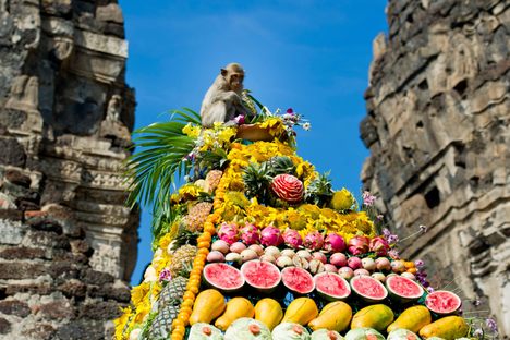 Monkey Buffet Festival