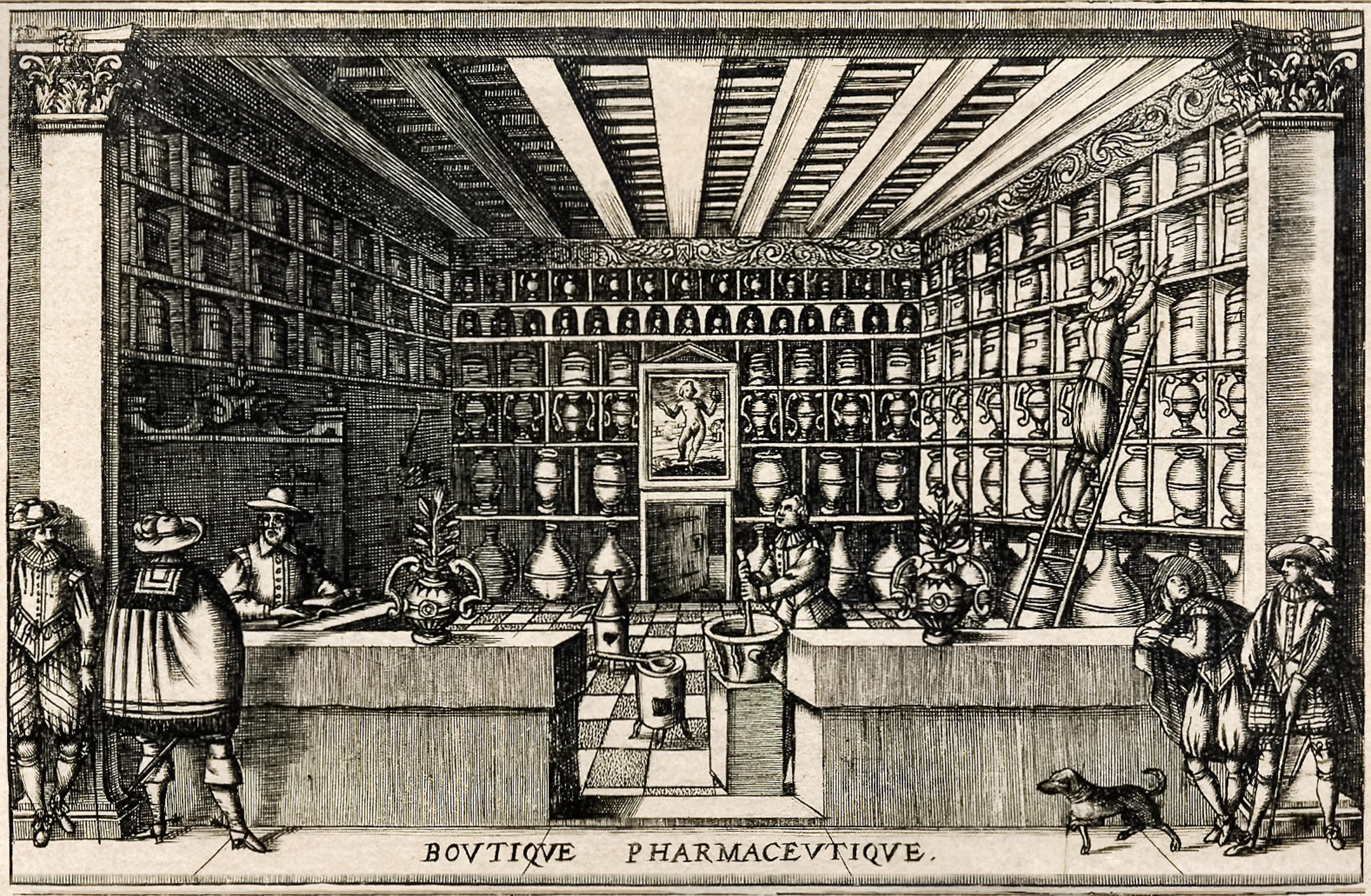 An illustration of a French apothecary in the early 17th century.