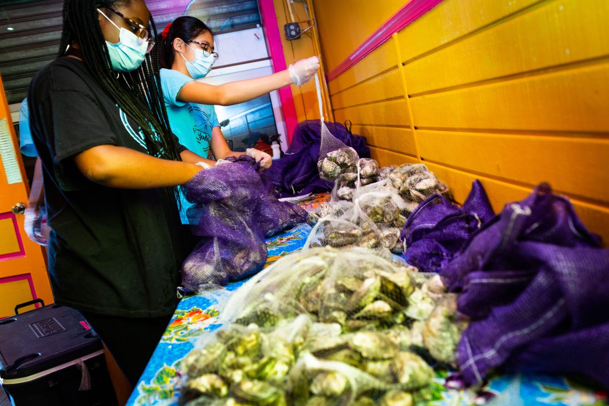 Students, Katrina Lawson (left) and Michelle Chen pack oysters for delivery.