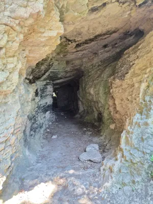 Post image 7