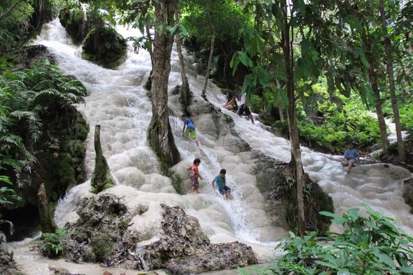 Bua Tong Sticky Waterfall.