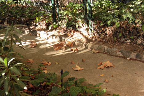original walkway