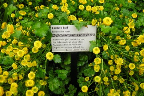 Shakespeare Gardens, Where Roses of Every Name Smell Sweet
