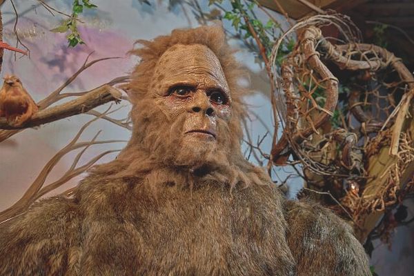This is Forest, a gigantic Bigfoot figure at the Bigfoot Crossroads of America Museum, created in the home of Bigfoot true believer Harriett McFeely in Hastings, Nebraska.