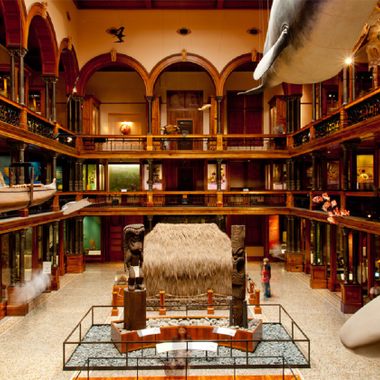 The Bishop is the Hawaiʻi State Museum of Natural and Cultural History