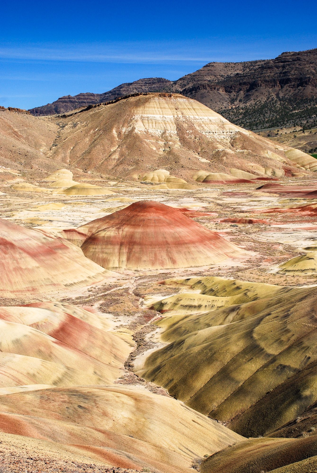 The painted hills create a natural colorscape in Oregon’s desert.