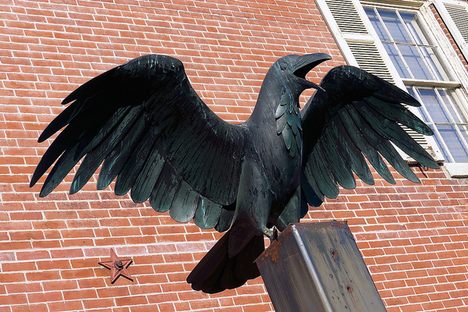 Curious Fact of the Week: The Raven That Inspired Poe
