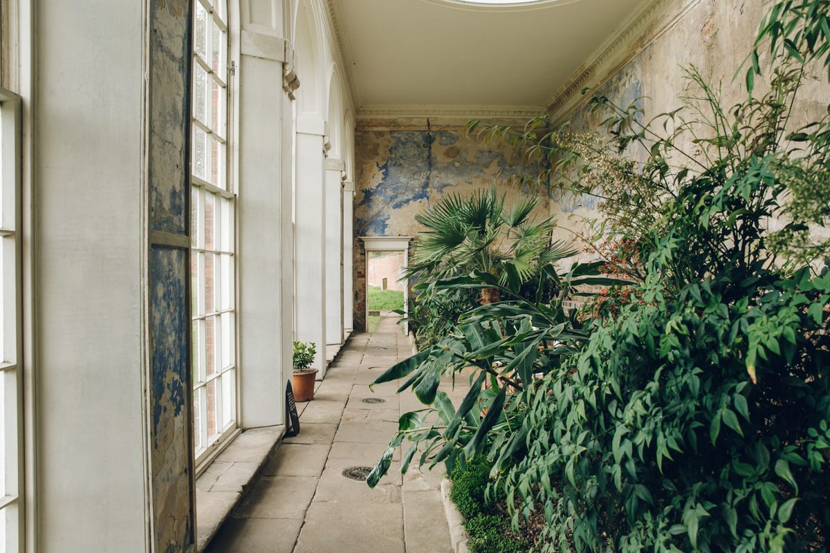 At Calke Abbey in Derbyshire, England, there are "mysterious tunnels" and "an almost-forgotten orangery."