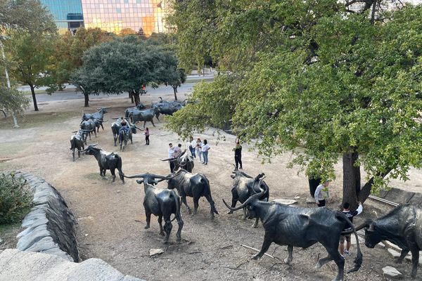 Pioneer Plaza Cattle Drive