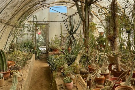 Moorten Botanical Garden and Cactarium