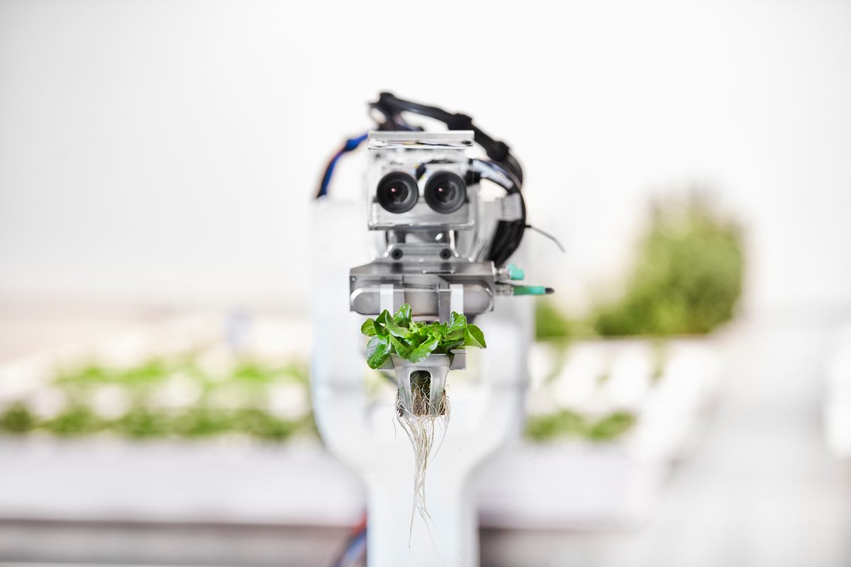 This vision-enabled robot runs 3-D scanned models of the plants through a machine learning algorithm for quality control.