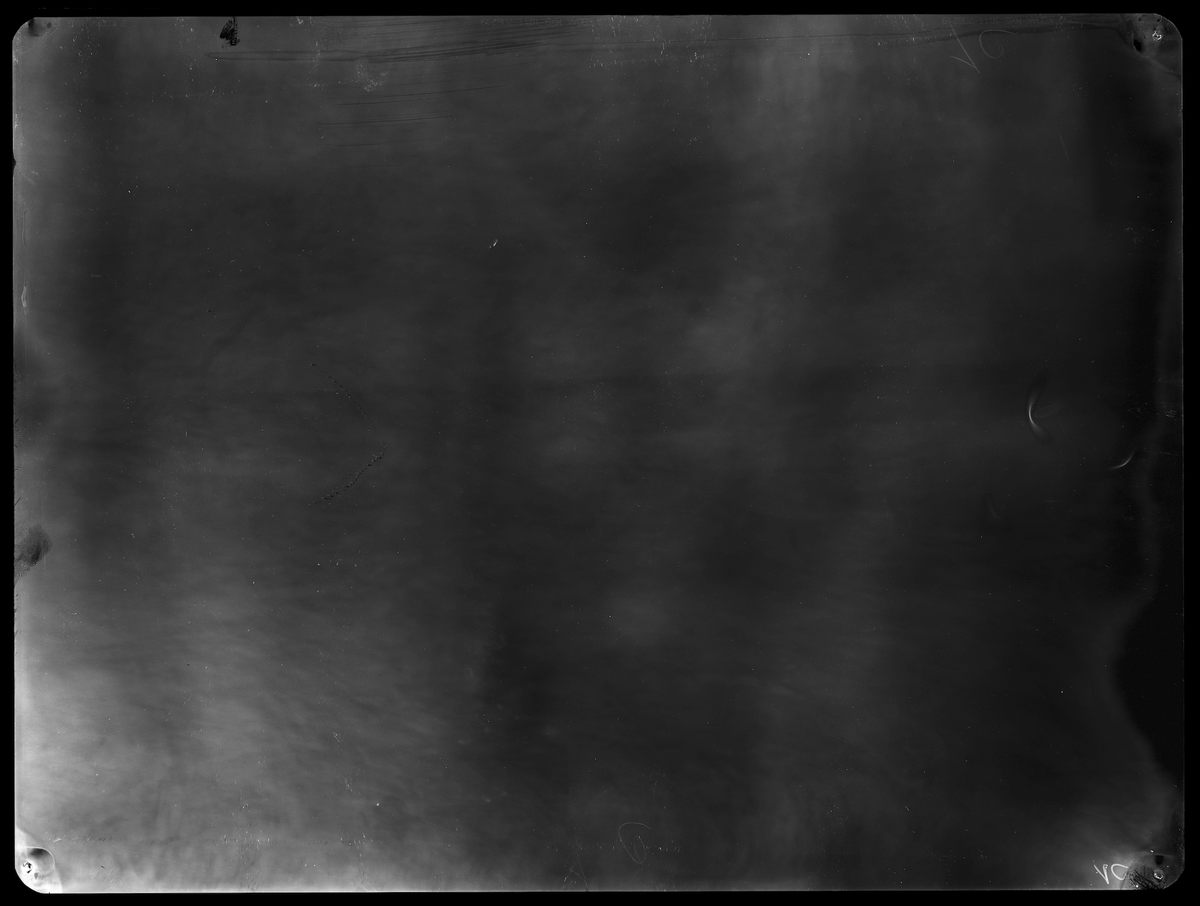Alice Miceli, <em> fragment of the trunk of a tree II - 7.356 µSv (07.05.09 - 21.07.09)</em>, backlight, radiographic negative.
