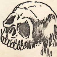 Profile image for agboe