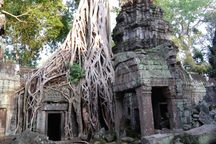 Ta Prohm Temple, Angkor, Cambodia.