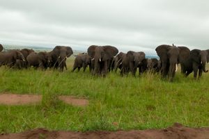 Photo of Uganda