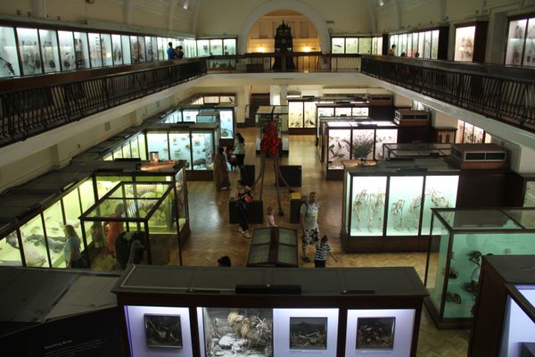 Brightly Colored Display Cases