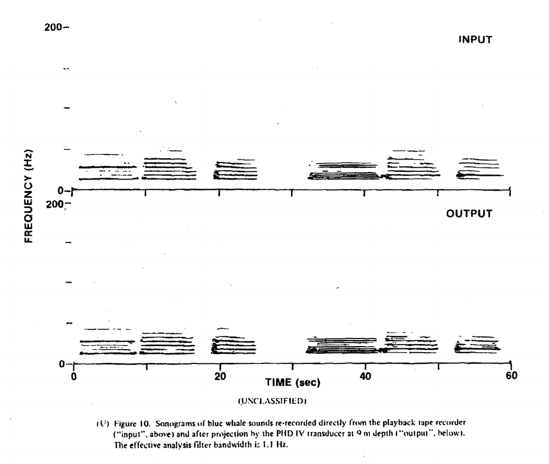 A sonogram of a blue whale call, before and after being sent through water.