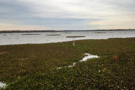 Bayou Bienvenue