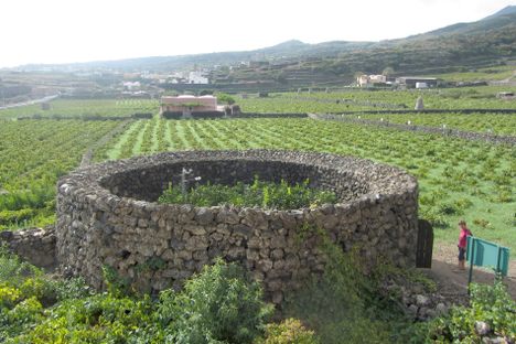The giardino Pantesco at Donnafugata vineyards.