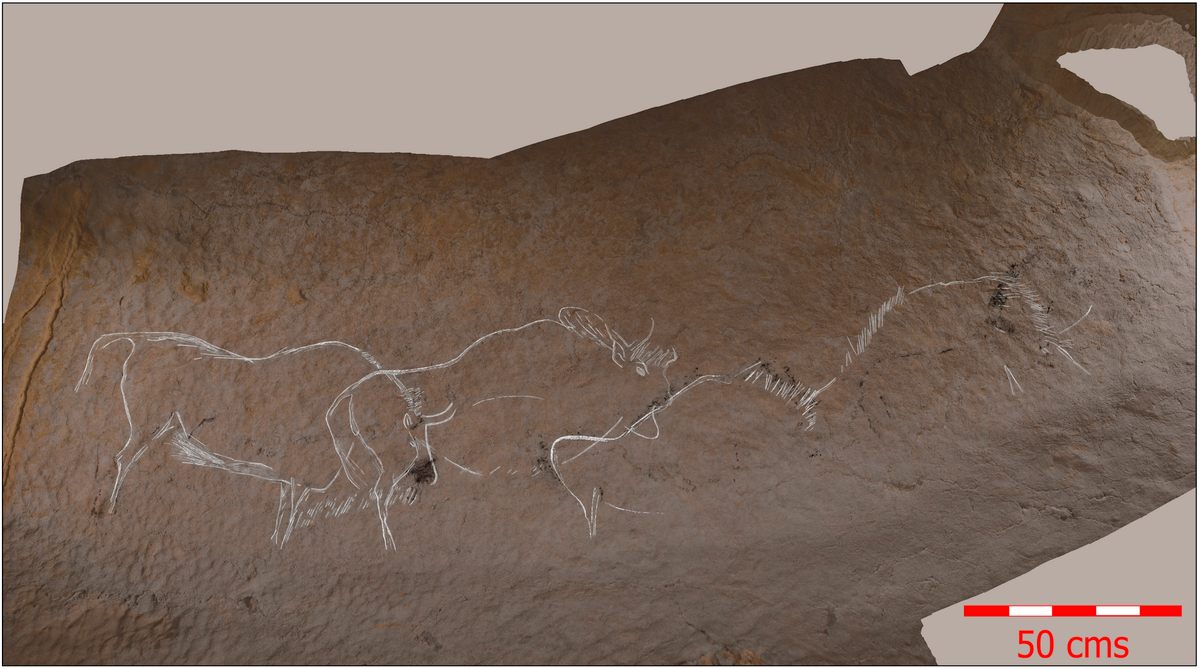 Multiple, overlapping carvings of bison and other animals in Atxurra Cave may have appeared to be moving when seen by firelight.
