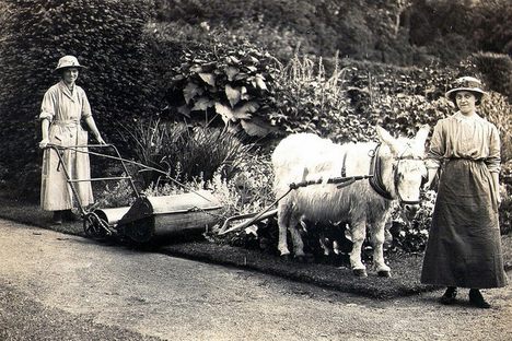 A Lawn Day’s Journey from Scythes and Donkeys to Power Mowers