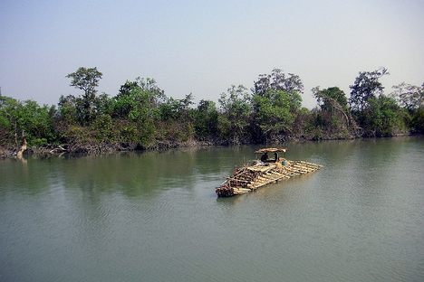 Ramree's dense marshs.