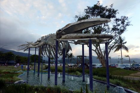When in the market for a complete whale skeleton, one does whatever it takes