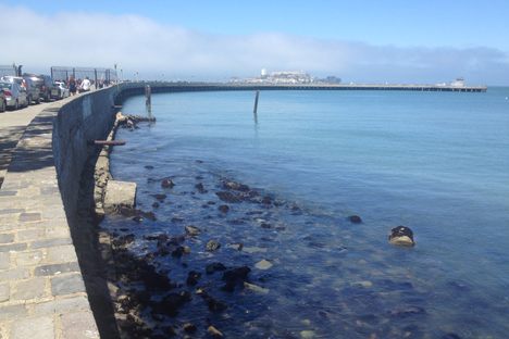 Aquatic Park Tombstones